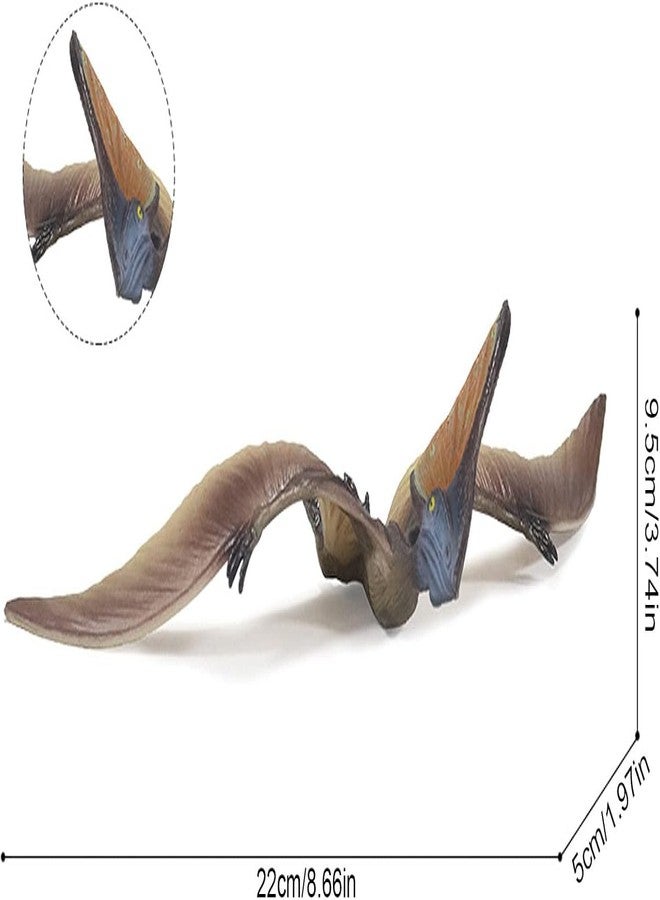 FUNFOB Dinosaur Toy Figure Pterosaur Dinosaur Toys for Kids & Adults PVC Multicolour | Flying Flat Dino - Image 4